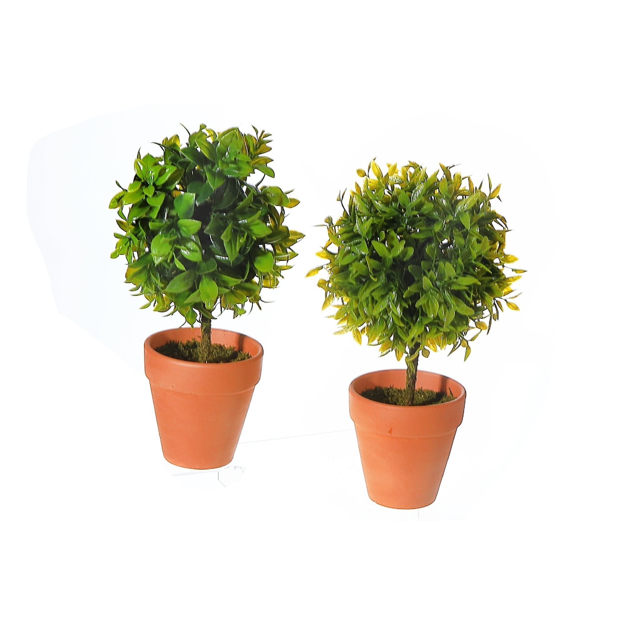 Artificial Topiary Ball Plant In Clay Pot Assorted Decorative Indoor Plant