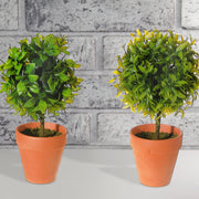 Artificial Topiary Ball Plant In Clay Pot Assorted Decorative Indoor Plant