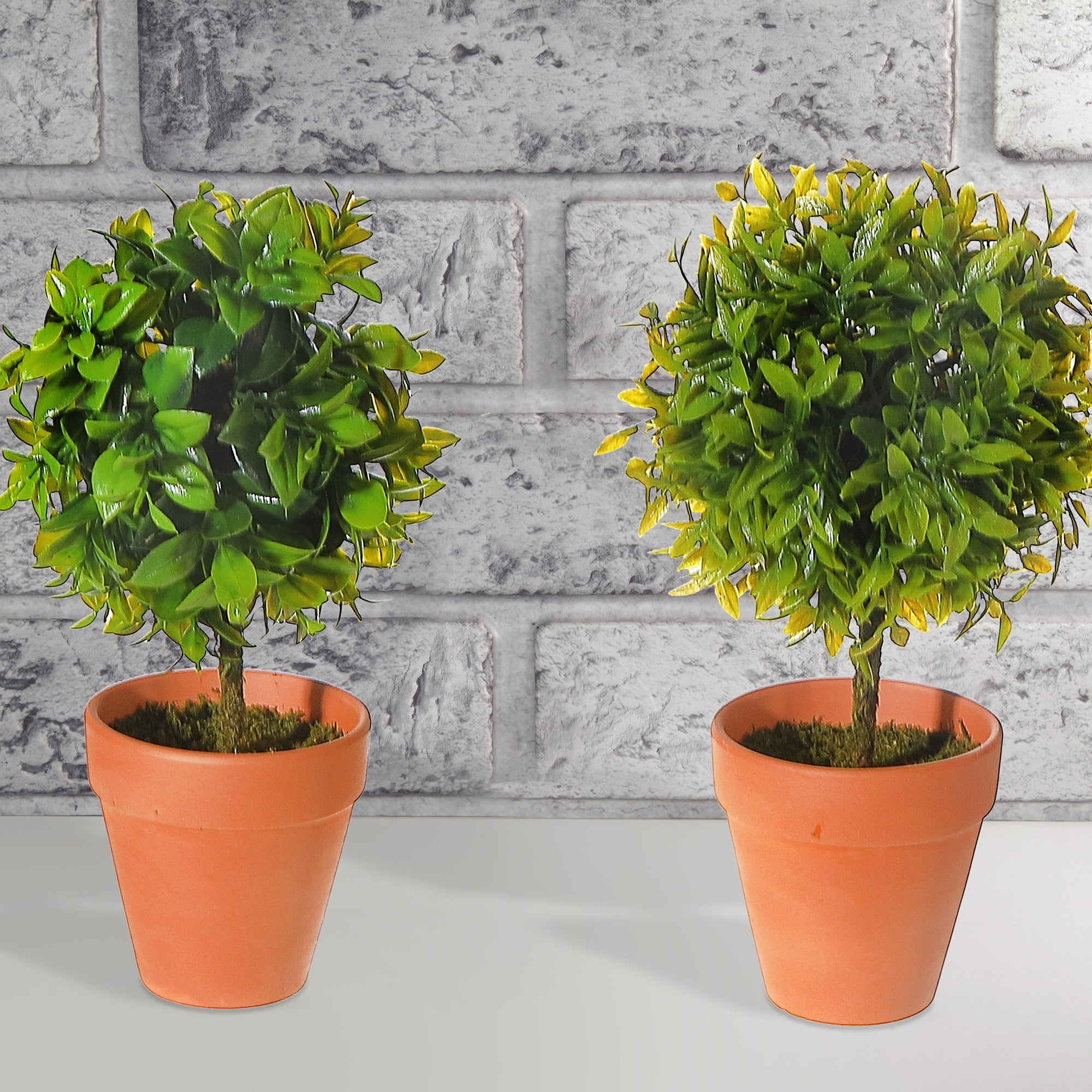 Artificial Topiary Ball Plant In Clay Pot Assorted Decorative Indoor Plant