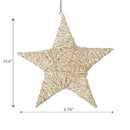 Natural Willow Star Wall Hanger Large