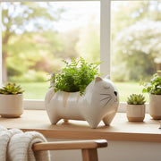 Striped Cat-Shaped Ceramic Planter - Set of 2