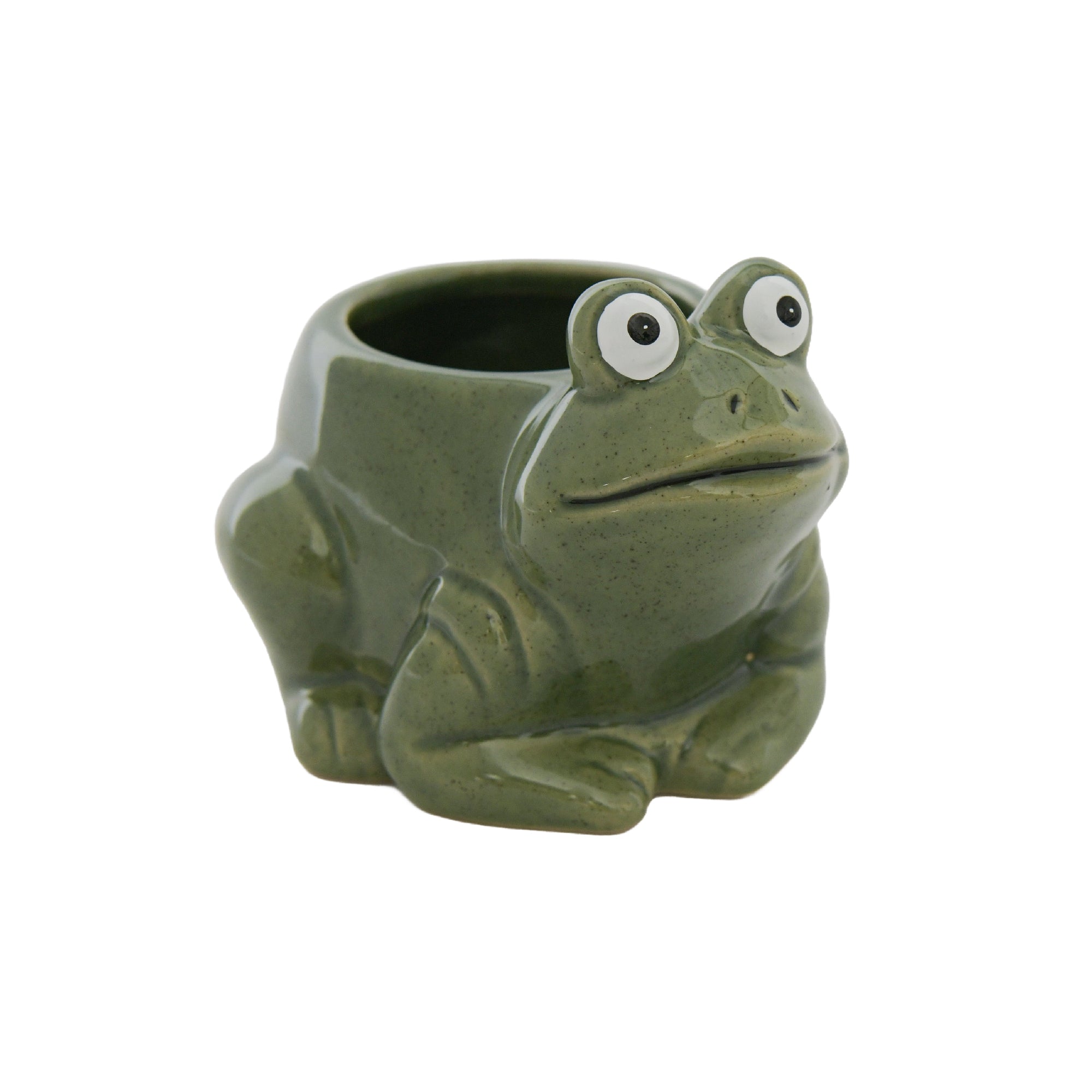 Frog-Shaped Ceramic Planter - Set of 2