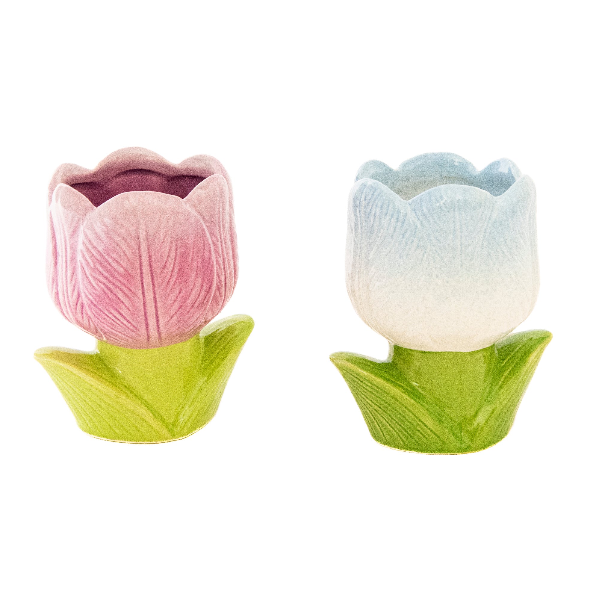Purple & Light Blue Tulip Bloom Ceramic Cup Planter - Set of 2