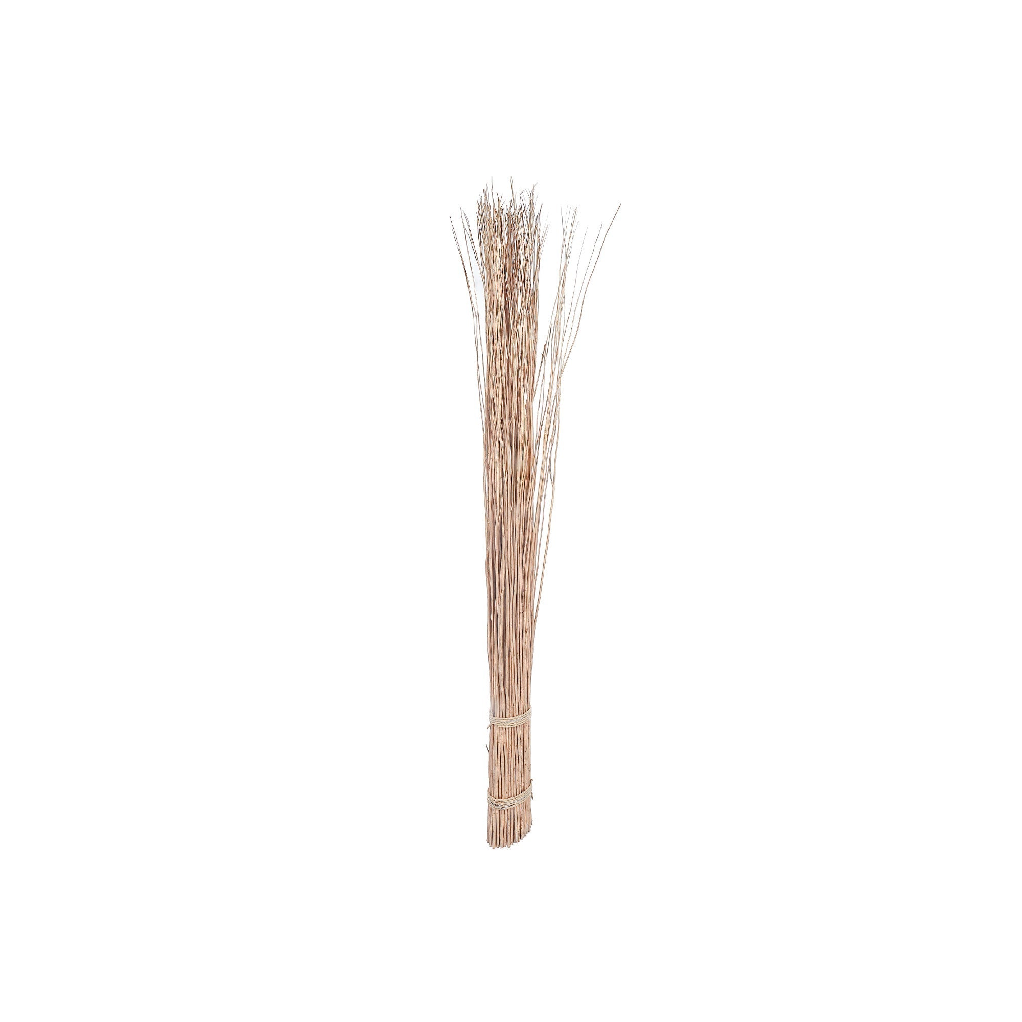Lavina Willow Twigs Decor, Natural Dried Branch Arrangement, Rustic Home Vase Filler