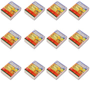 20 LED Indoor Submersible Multi-Color Christmas Lights with 6 Hour Timer, Holiday Decoration, 12 Pack
