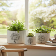 Set of 3 White Wooden Round Planters with Tree Motif