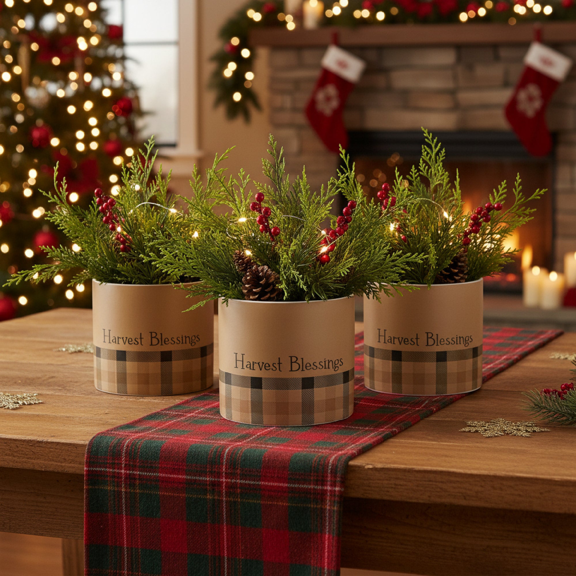 Pot Harvest Blessings Plaid Large, Fall Harvest, Planter, Holiday Decor- Set of 3
