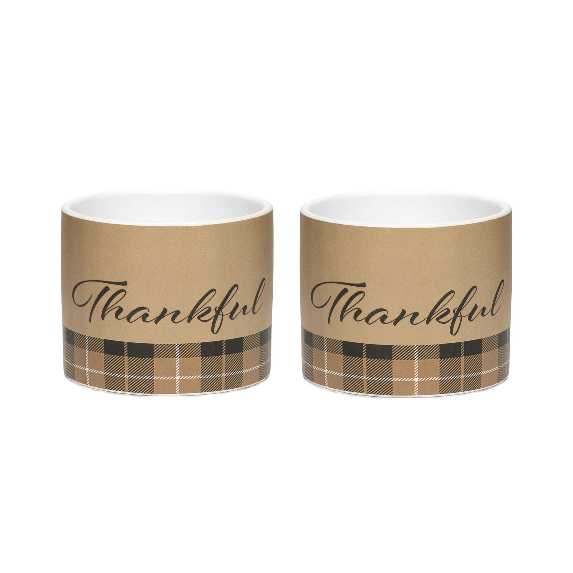 Pot Thankful Plaid Medium, Fall Harvest, Planter, Holiday Decor- Set of 2