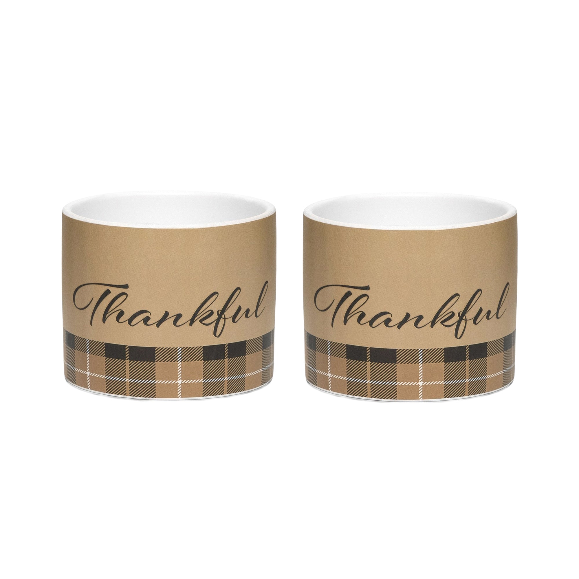 Pot Thankful Plaid Medium, Fall Harvest, Planter, Holiday Decor- Set of 2