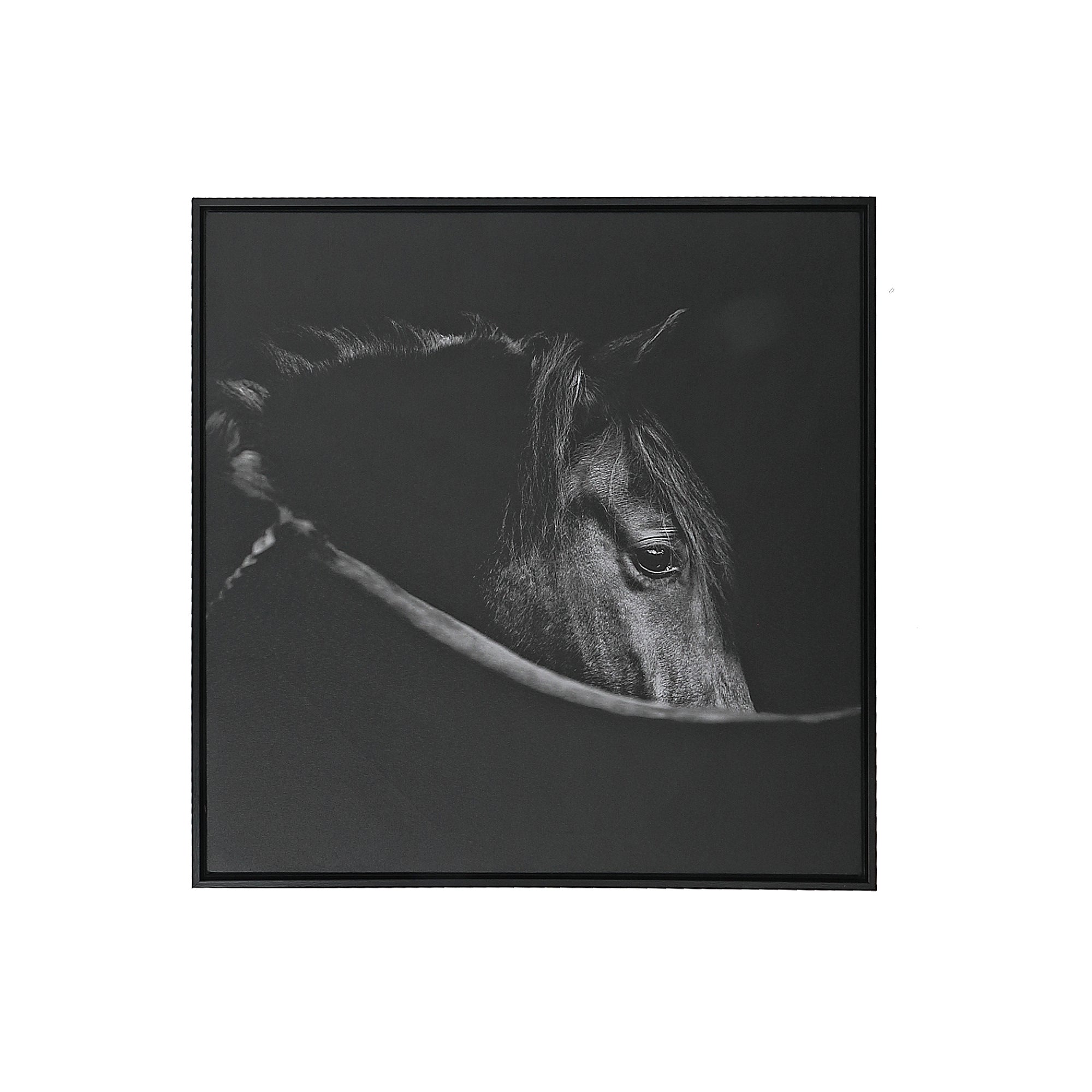Framed Canvas Horse Head Wall Art, Rustic Farmhouse Animal Wall Decor