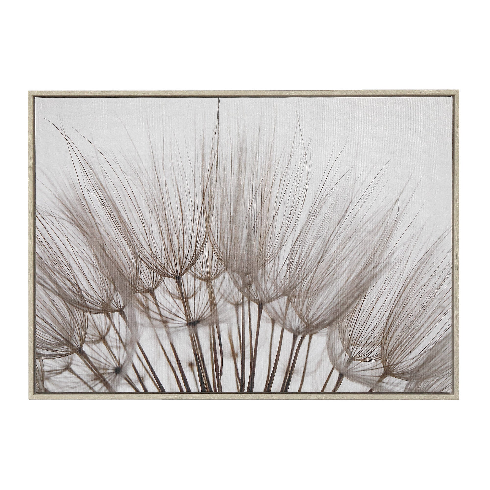 Framed Canvas Wall Art Fluffy Dandelion Flower, Home Wall Decor, Nature Artwork, Seasonal Floral Accent