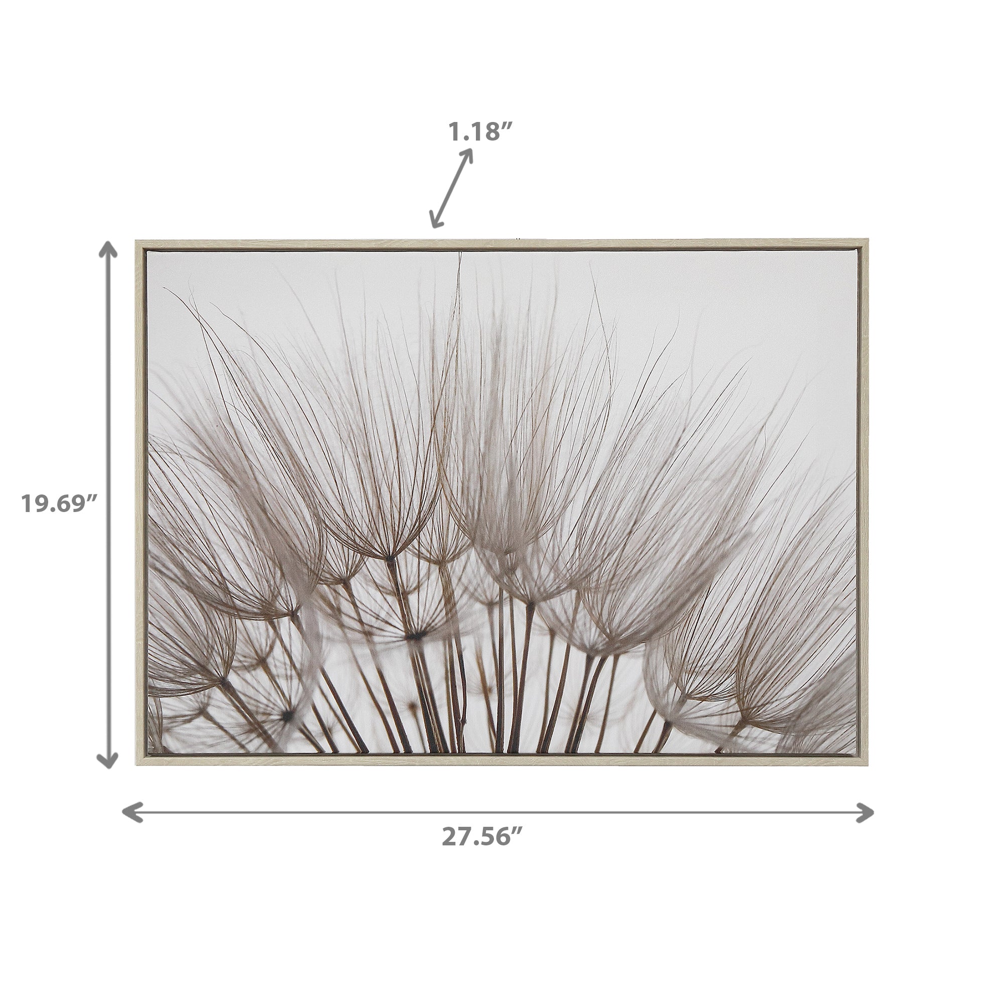 Framed Canvas Wall Art Fluffy Dandelion Flower, Home Wall Decor, Nature Artwork, Seasonal Floral Accent