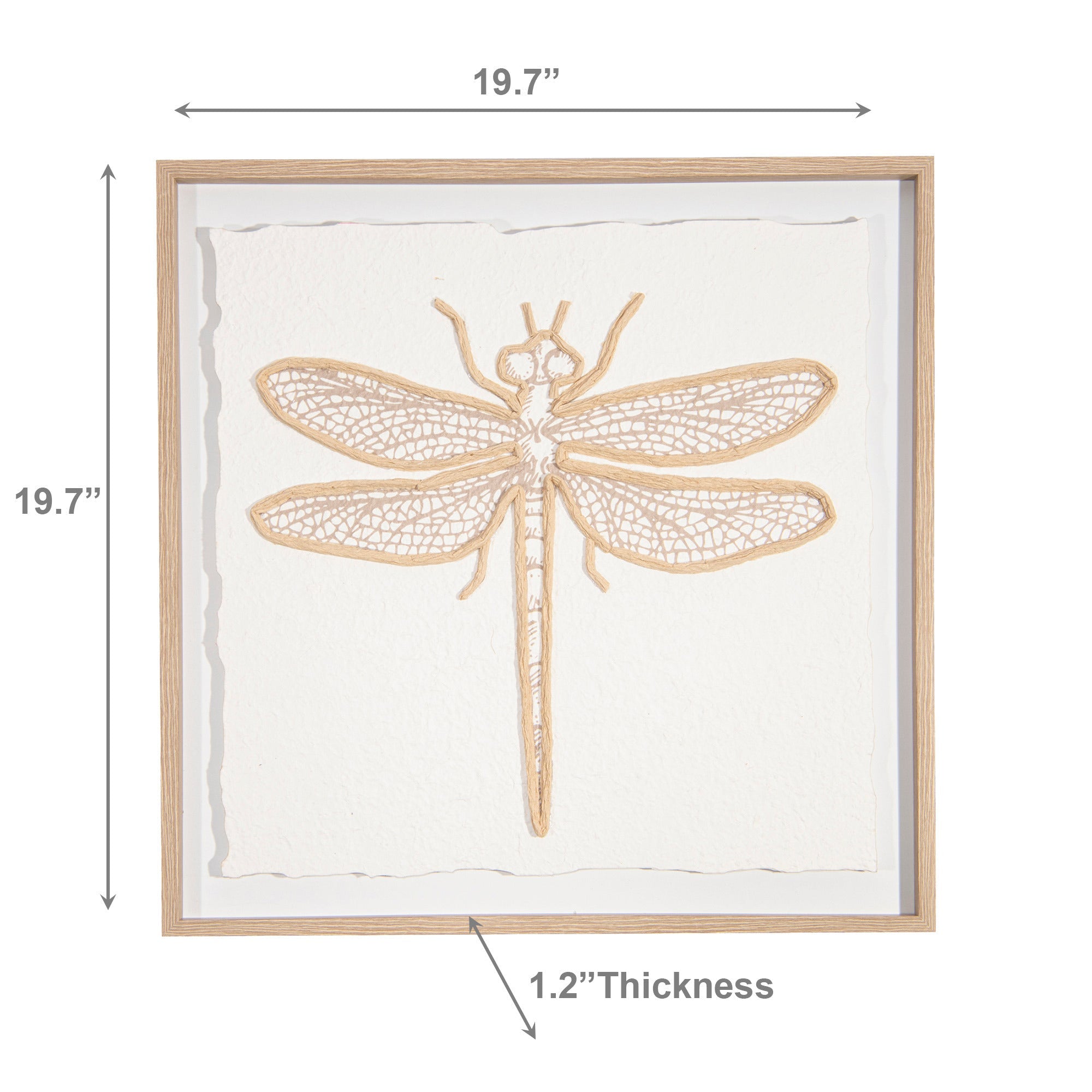 Framed 3D Effect Paper Art of Dragonfly