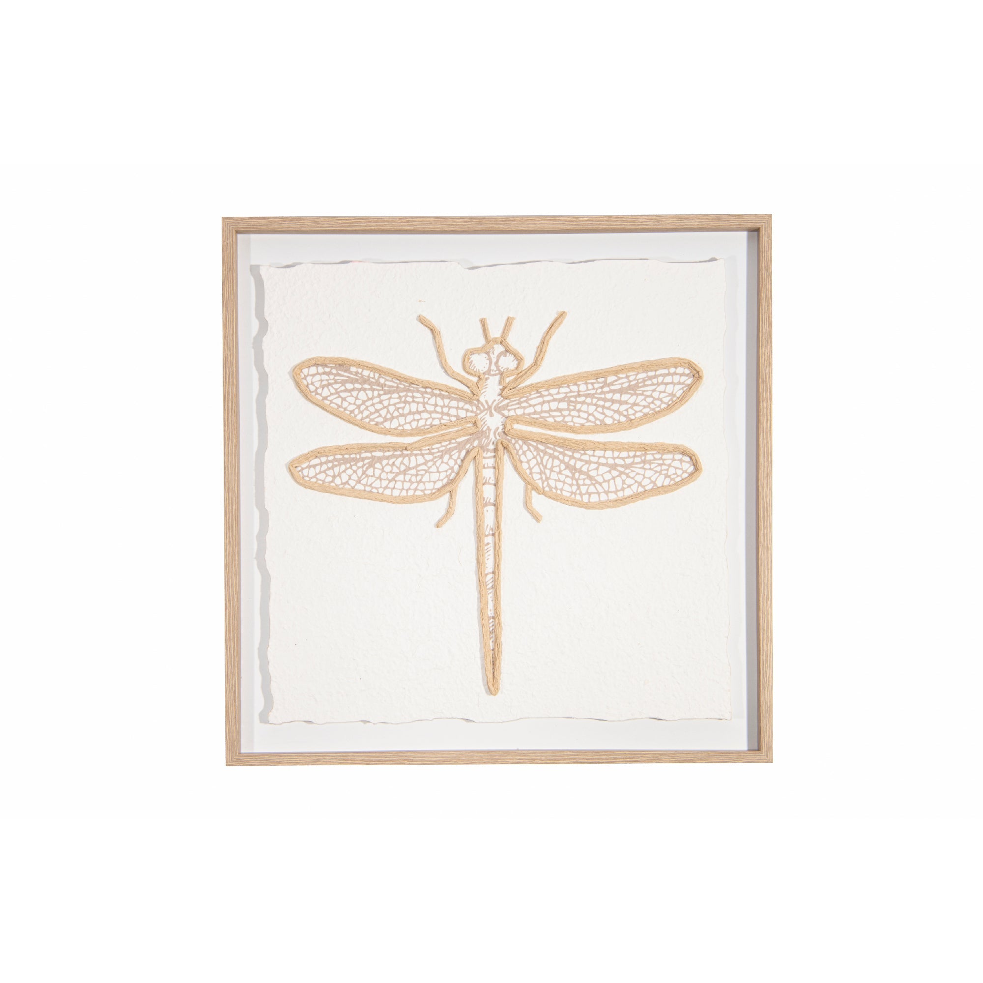 Framed 3D Effect Paper Art of Dragonfly