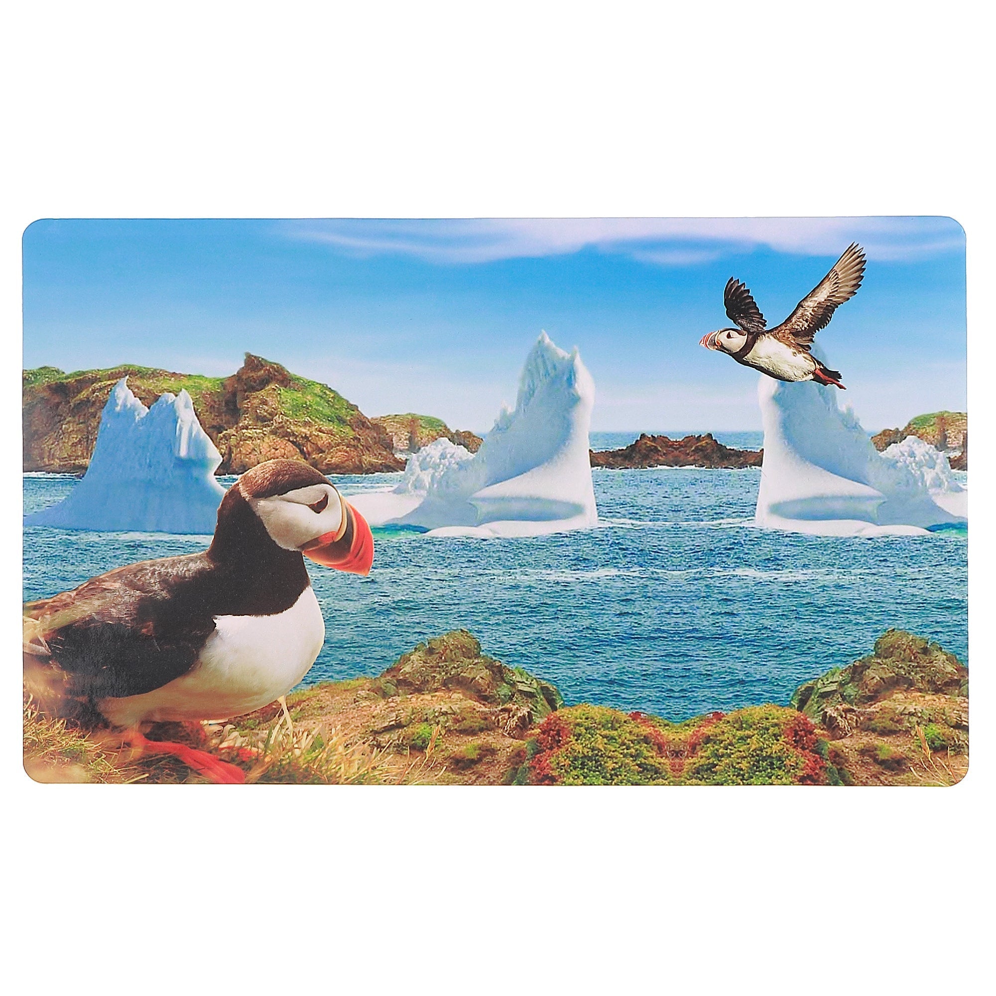 Plastic Placemat Puffin 10.75 X 16.75 Set Of 12, Kitchen Dining Table Decor
