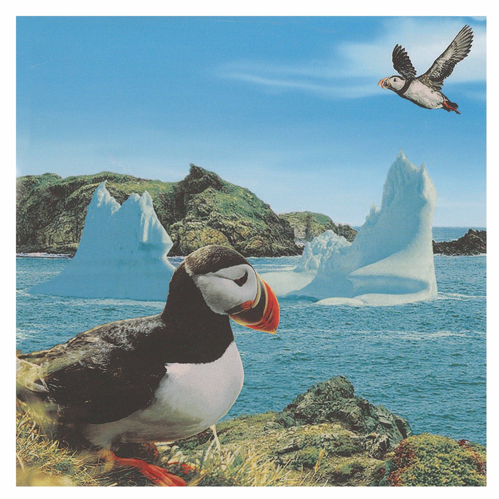20 Pack Luncheon 3 Ply Napkin Puffin Set Of 6, Kitchen Table Decor