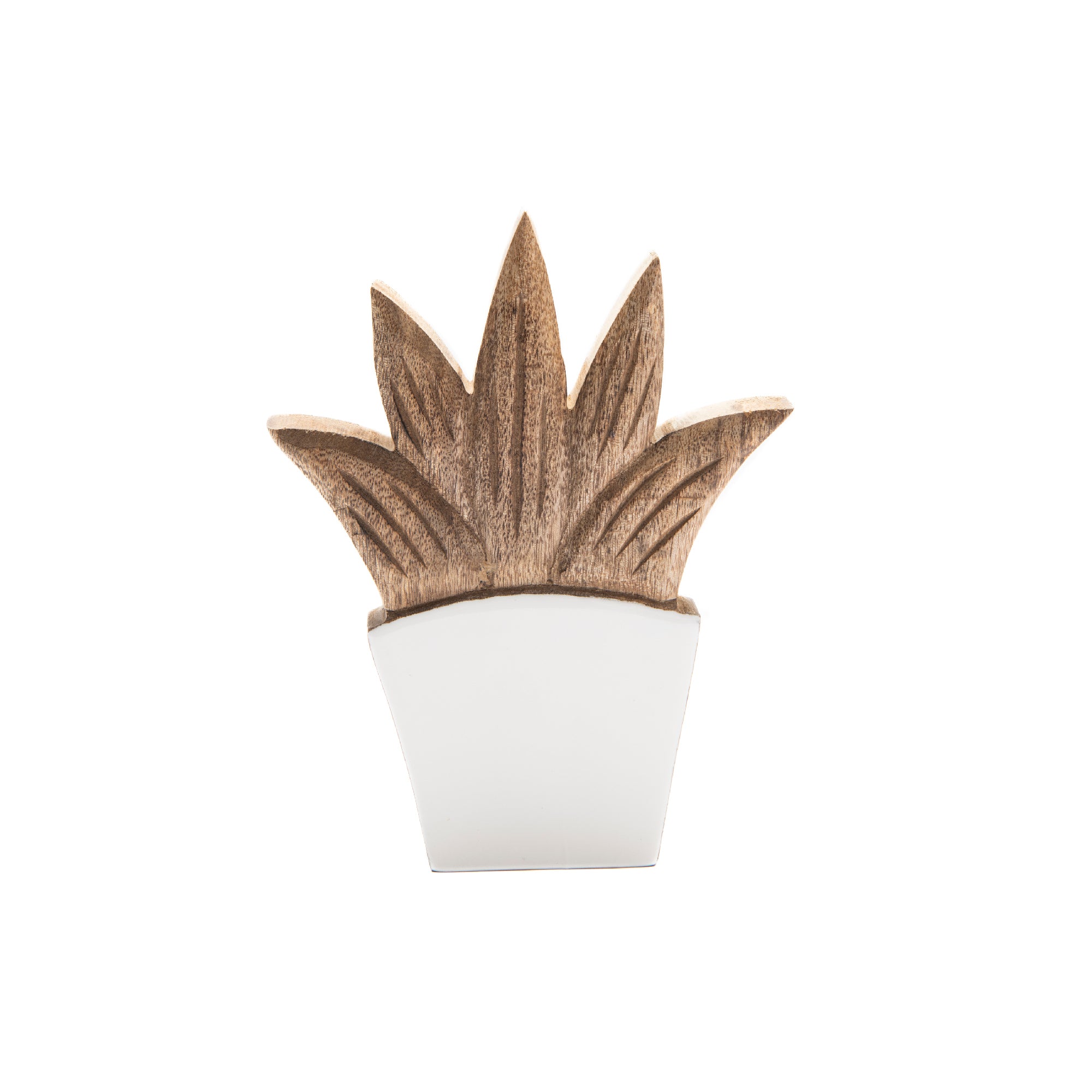 Mango Wood Enamel-Coated Aloe Plant Décor with Integrated Vase - Set of 2