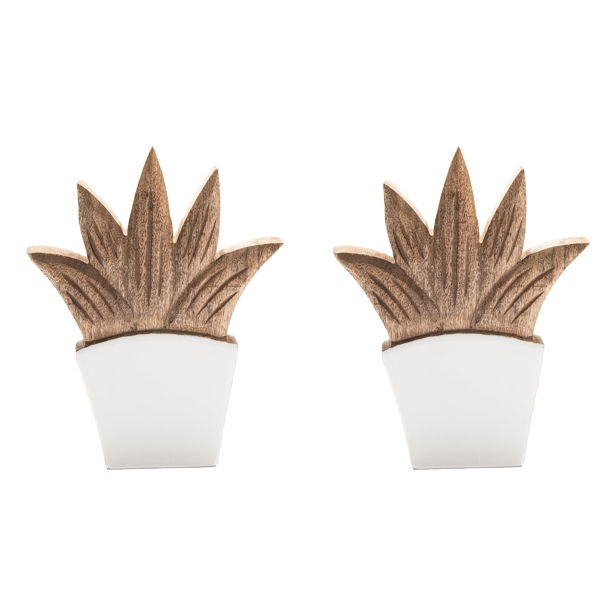 Mango Wood Enamel-Coated Aloe Plant Décor with Integrated Vase - Set of 2