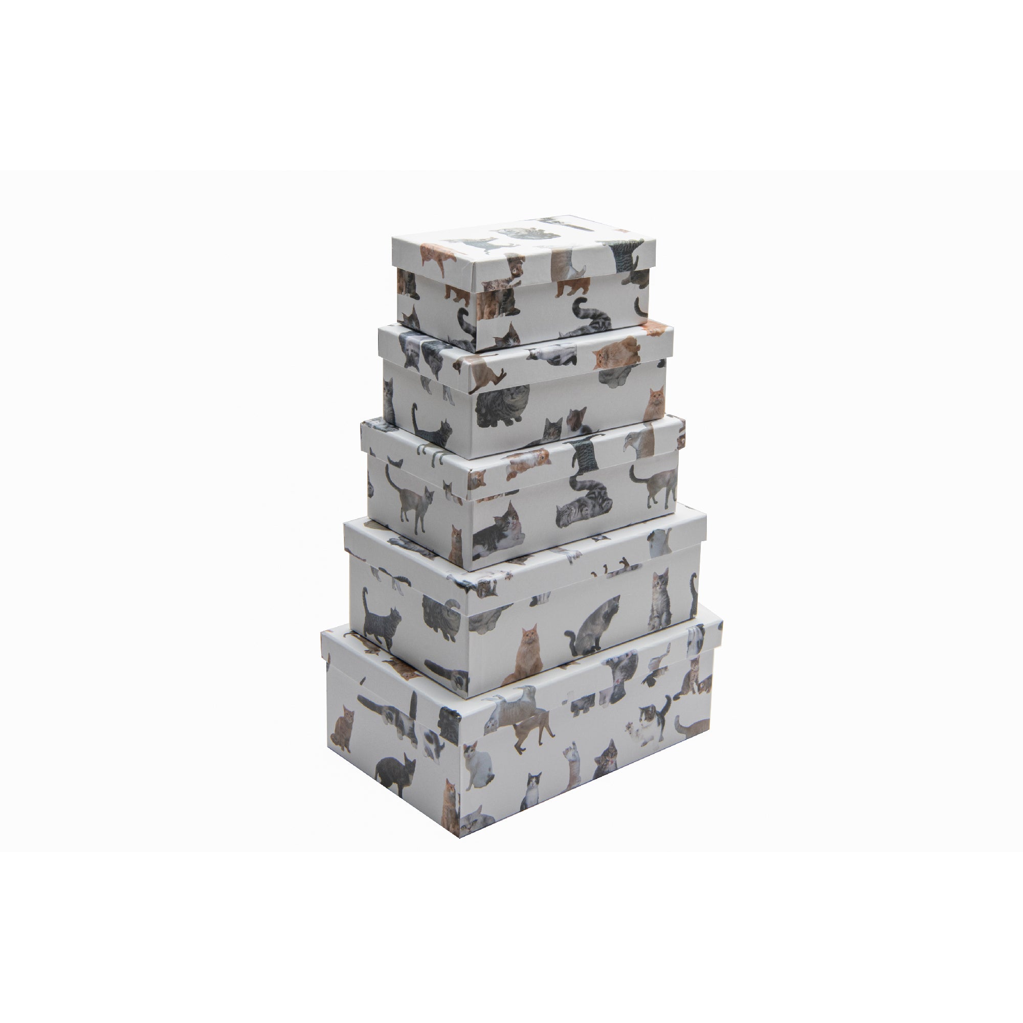 Set of 5 Rectangular Nesting Storage Boxes with Cat Collage Artwork