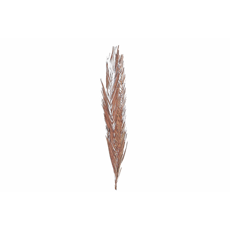 Dried Khajur Leaves In Poly Sleave Assorted - Set of 4