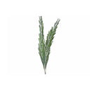 Dried Khajur Leaves In Poly Sleave Assorted - Set of 4