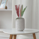 Dried Khajur Leaves In Poly Sleave Assorted - Set of 4