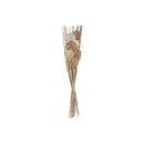 Dried Palm Bouquet In Paper Sleave Assorted - Set of 2
