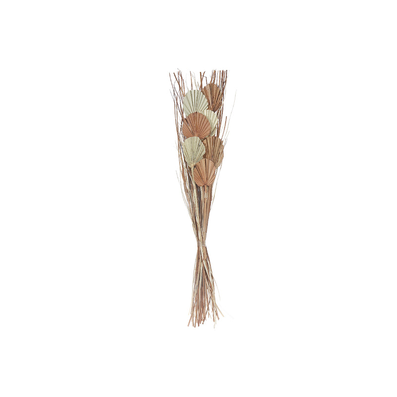 Dried Palm Bouquet In Paper Sleave Assorted - Set of 2