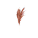 3 Pcs Pampas Grass In Poly Sleave Assorted 30"-32" - Set of 4
