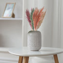 3 Pcs Pampas Grass In Poly Sleave Assorted 30"-32" - Set of 4