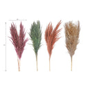 3 Pcs Pampas Grass In Poly Sleave Assorted 30"-32" - Set of 4
