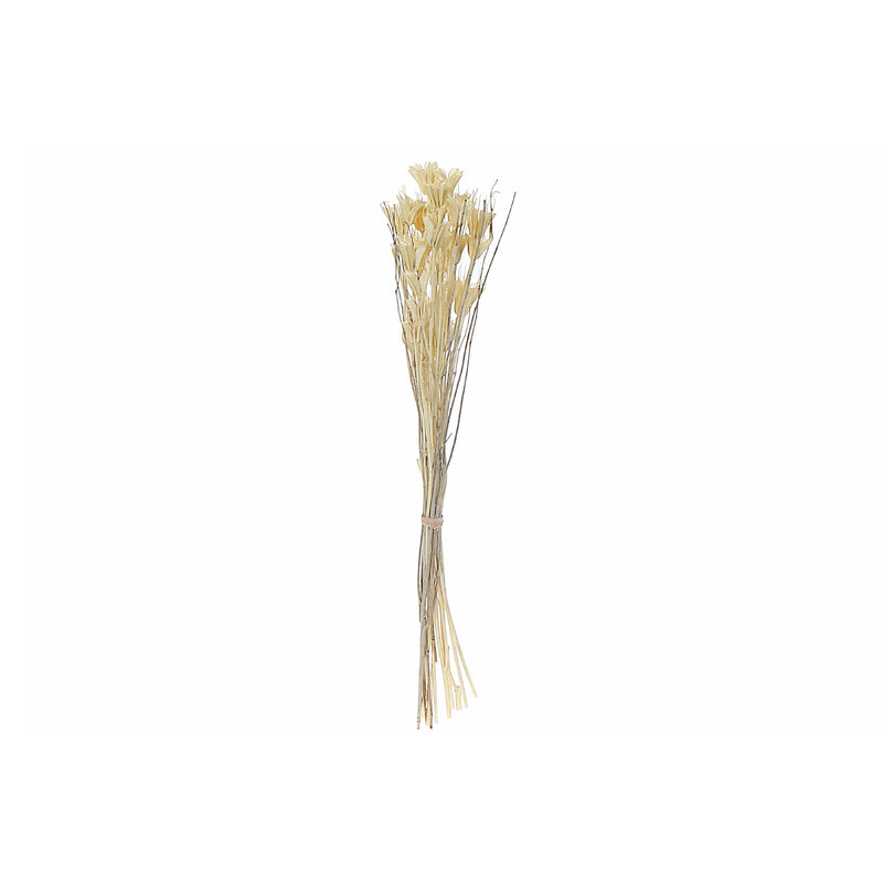 Dried Mix Floral Bouquet In Paper Wrap Assorted 30/Display - Set of 3