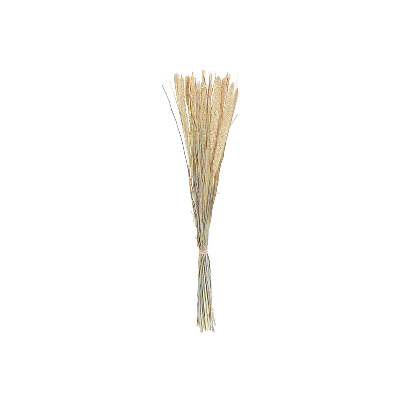 Dried Mix Floral Bouquet In Paper Wrap Assorted 30/Display - Set of 3
