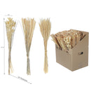 Dried Mix Floral Bouquet In Paper Wrap Assorted 30/Display - Set of 3