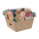 Dried Muni Grass Bouquet In Paper Wrap Assorted 24/Display - Set of 2
