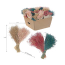 Dried Muni Grass Bouquet In Paper Wrap Assorted 24/Display - Set of 2