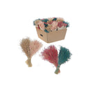 Dried Muni Grass Bouquet In Paper Wrap Assorted 24/Display - Set of 2