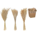 Multi Grass Bouquet In Paper Wrap Assorted Natural - Set of 3
