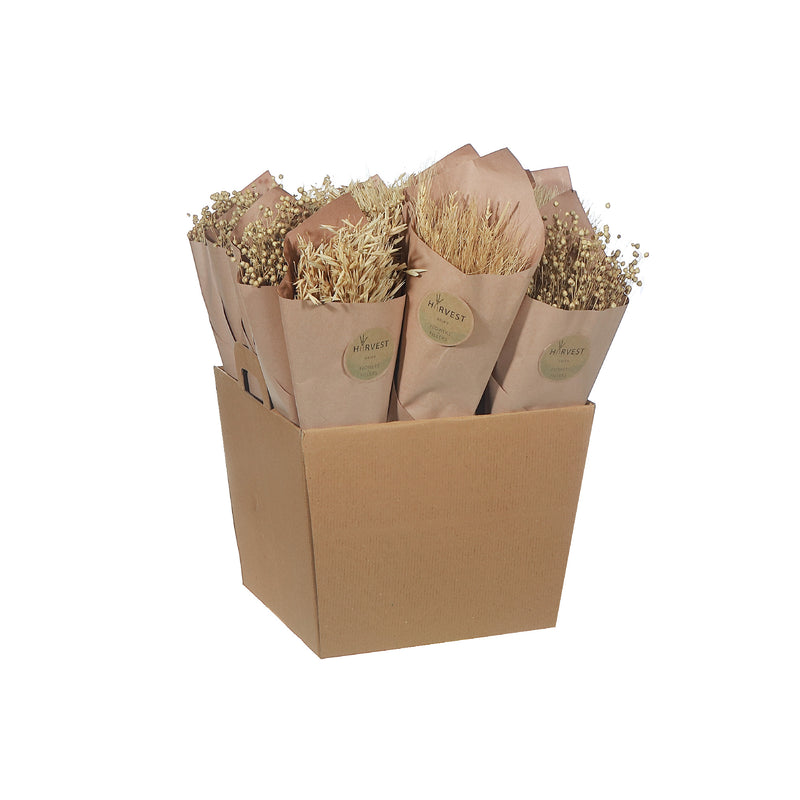 Multi Grass Bouquet In Paper Wrap Assorted Natural - Set of 3