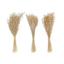Multi Grass Bouquet In Paper Wrap Assorted Natural - Set of 3