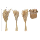 Multi Grass Bouquet In Paper Wrap Assorted Natural - Set of 3
