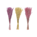 Dried Havana Grass Bouquet In Paper Wrap Assorted - Set of 3