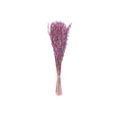 Dried Havana Grass Bouquet In Paper Wrap Assorted - Set of 3