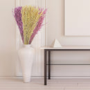 Dried Havana Grass Bouquet In Paper Wrap Assorted - Set of 3