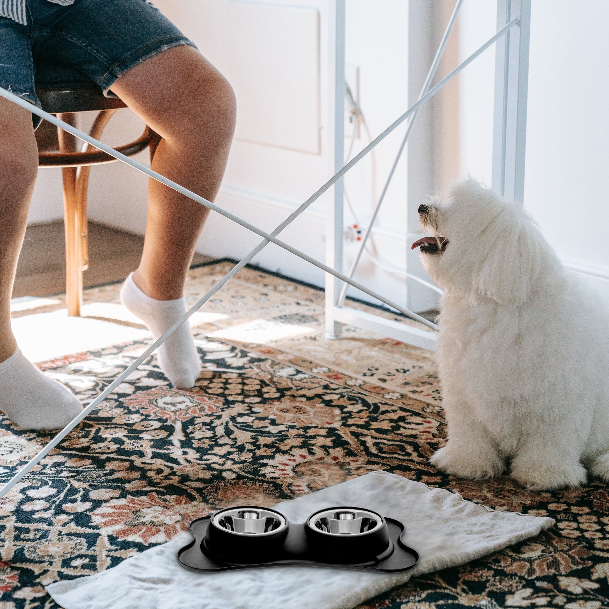 Bone Shaped Anti-Spill Double Pet Bowl Black, Dog Cat Feeding Bowl, Non-Slip