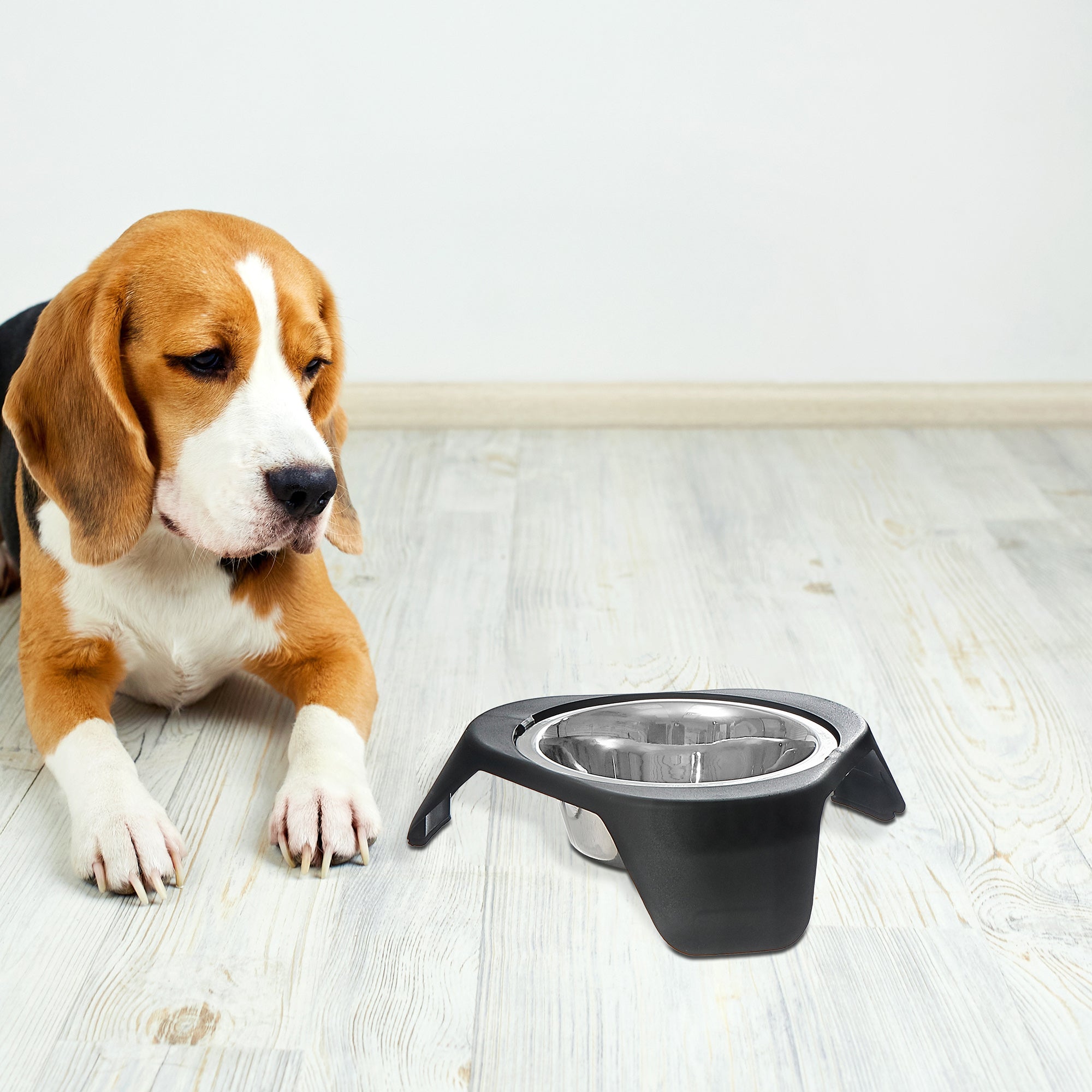 Black Stainless Steel Pet Bowl Set of 2 with Stand – Dog & Cat Feeding Station
