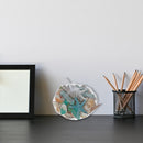 Seashells In Net Bag