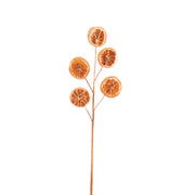 Natural Dried Orange Pick, Holiday Decor- Set of 6