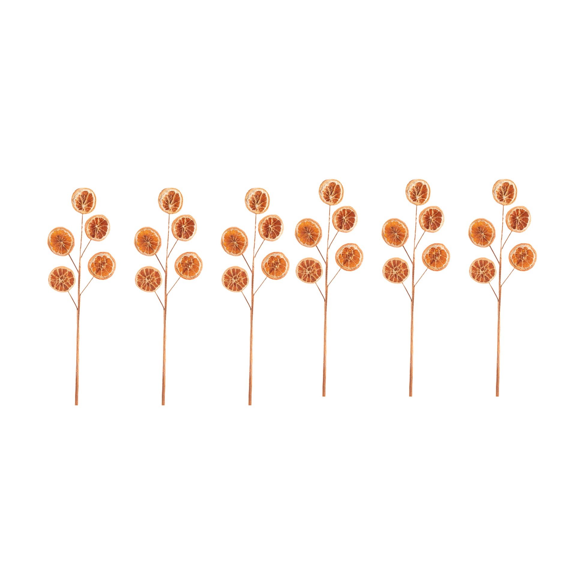 Natural Dried Orange Pick, Holiday Decor- Set of 6
