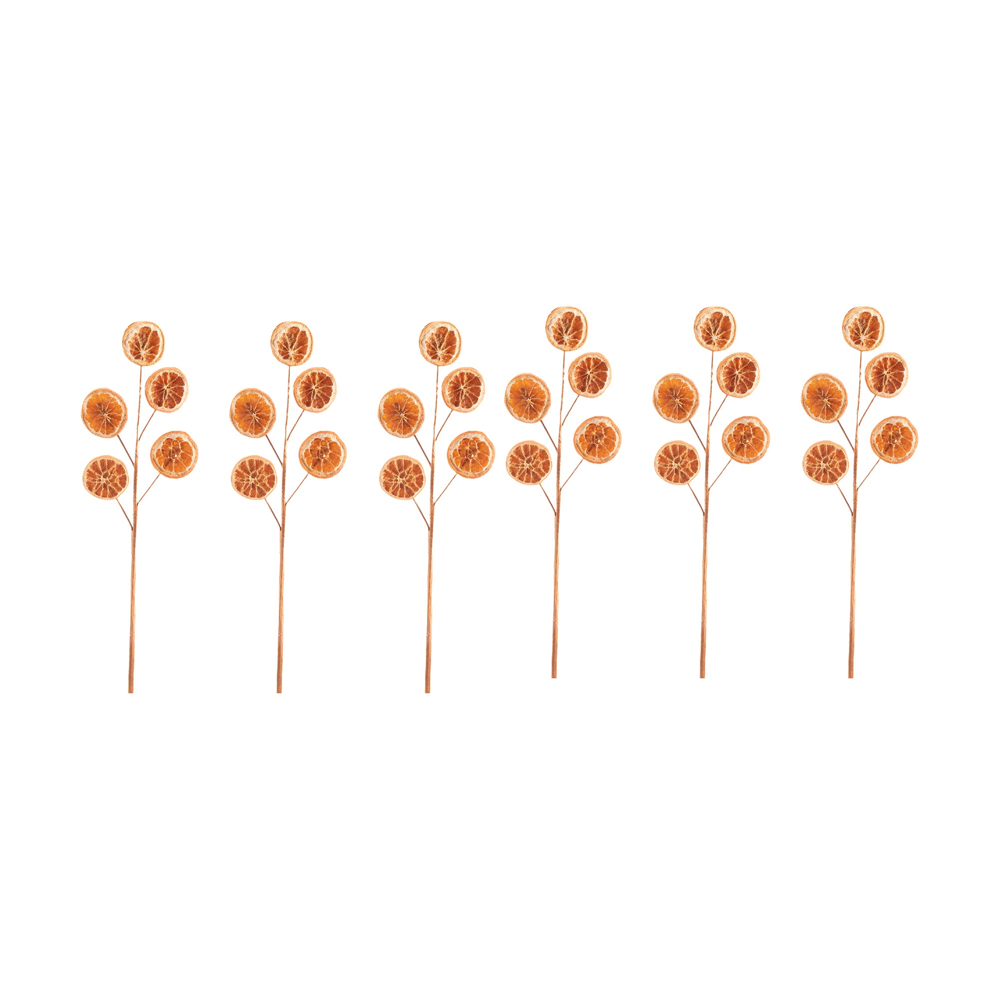 Natural Dried Orange Pick, Holiday Decor- Set of 6